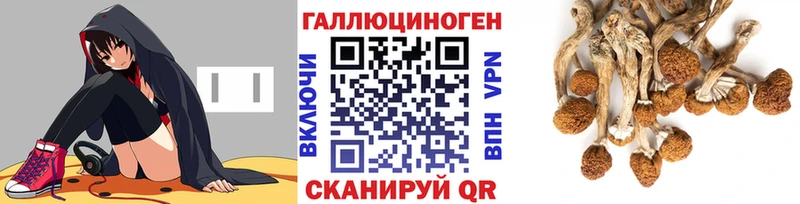 MEGA маркетплейс  Жуков  Галлюциногенные грибы Psilocybine cubensis 